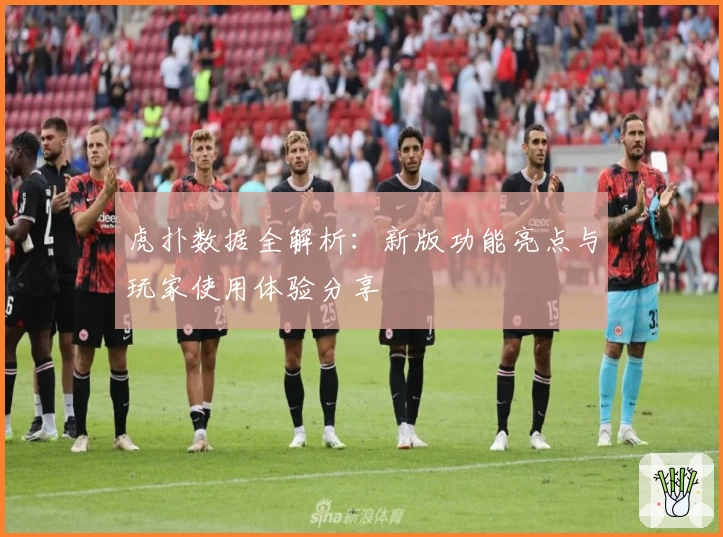 虎扑数据全解析：新版功能亮点与玩家使用体验分享