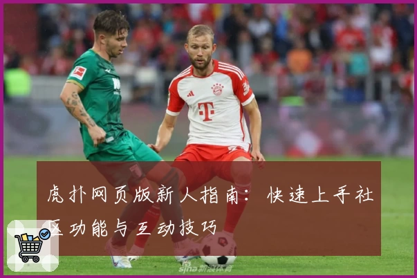 虎扑网页版新人指南：快速上手社区功能与互动技巧