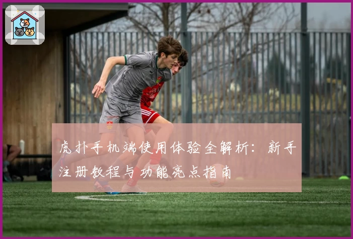 虎扑手机端使用体验全解析：新手注册教程与功能亮点指南