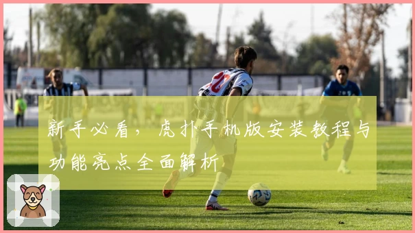 新手必看，虎扑手机版安装教程与功能亮点全面解析