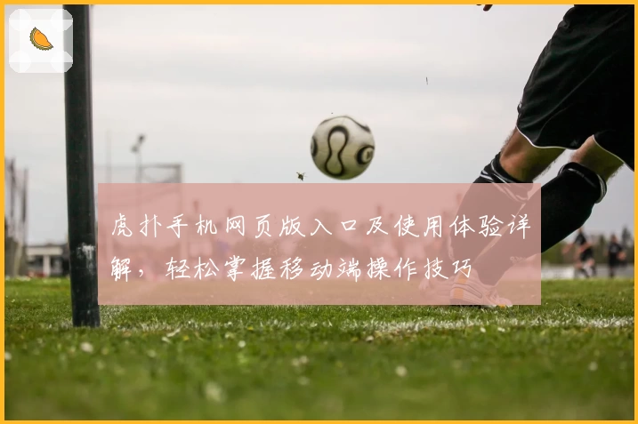 虎扑手机网页版入口及使用体验详解，轻松掌握移动端操作技巧