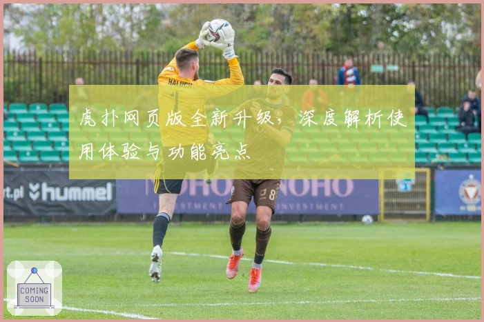虎扑网页版全新升级，深度解析使用体验与功能亮点
